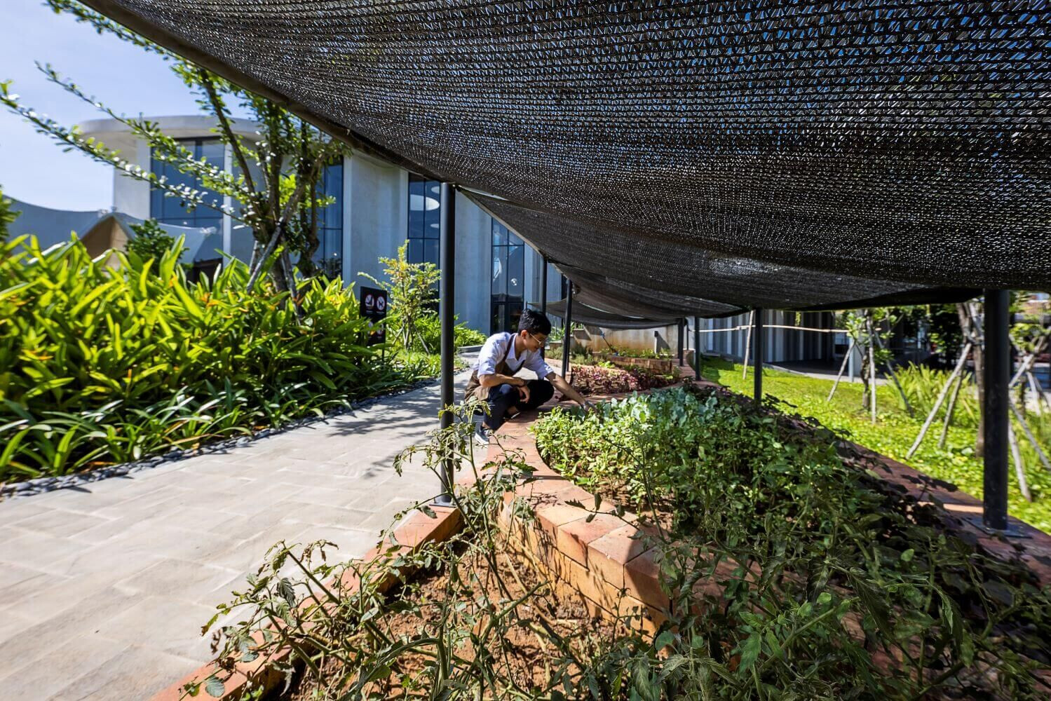https://archello.com/story/134055/attachments/photos-videos/6 photo_credit Hiroyuki Oki