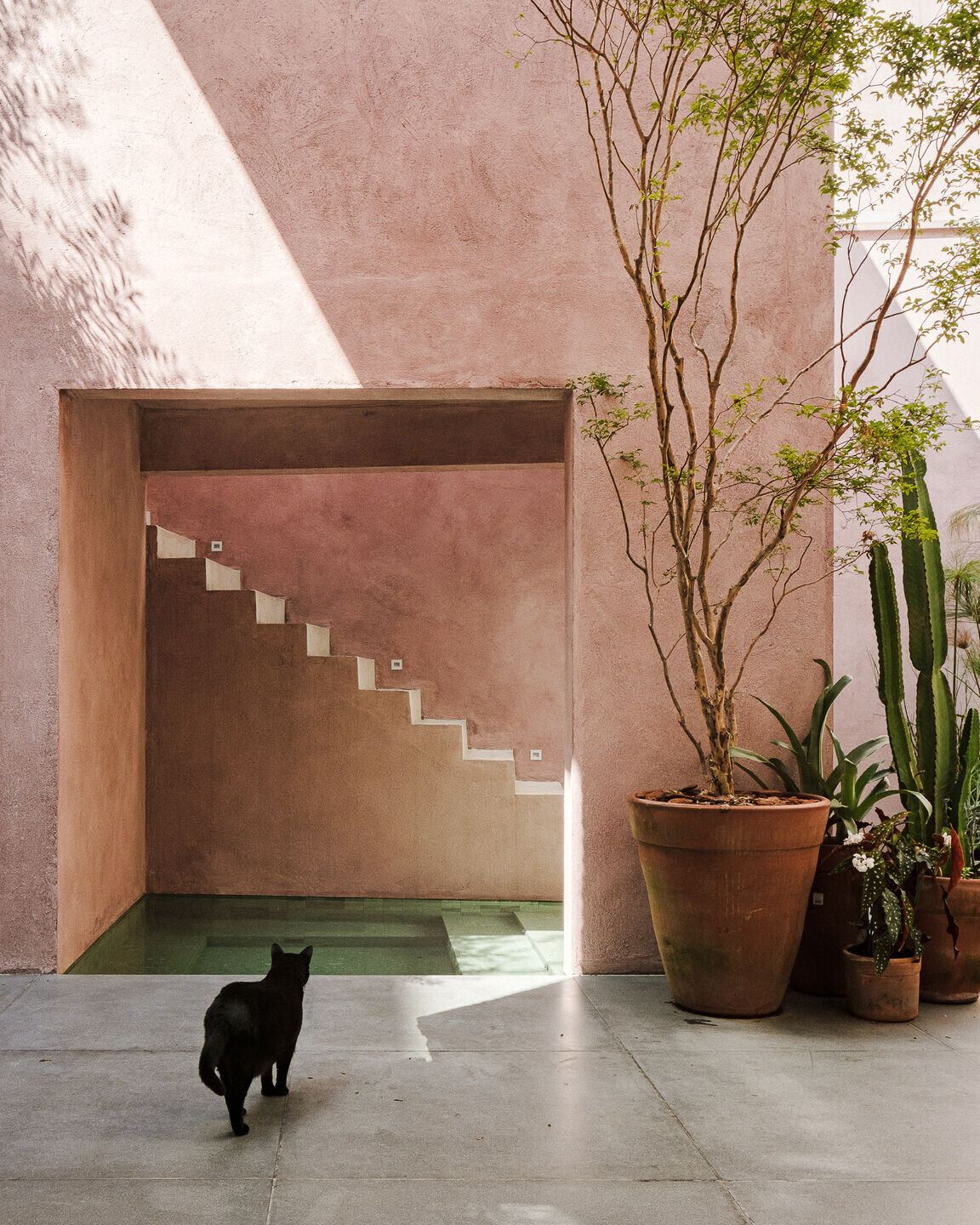 https://archello.com/story/134152/attachments/photos-videos/4 photo_credit Pedro Kok