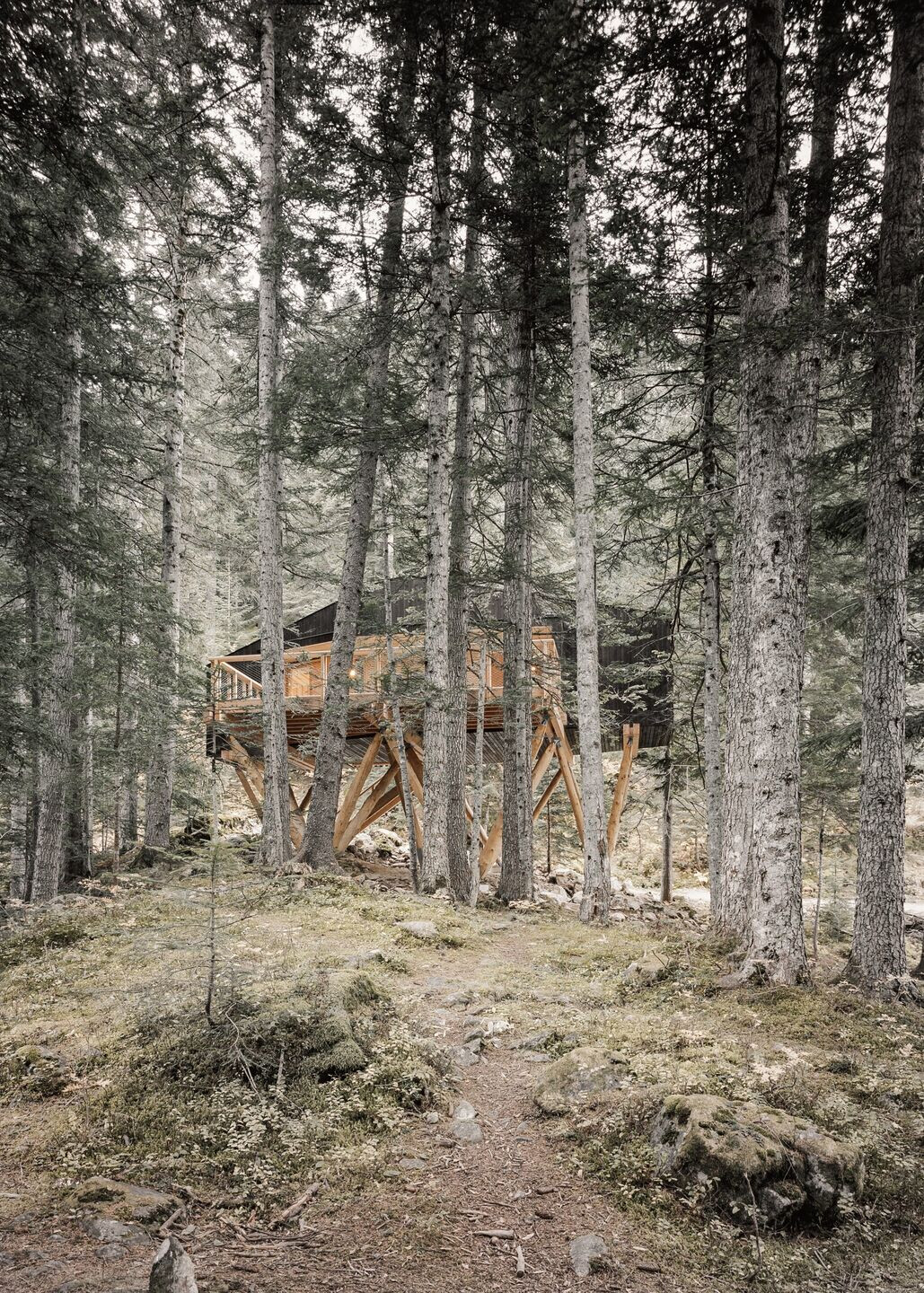 https://archello.com/story/134298/attachments/photos-videos/6 photo_credit Aldo Amoretti