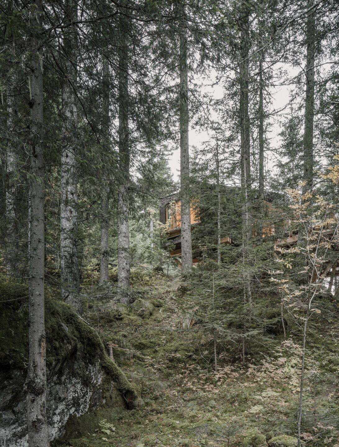 https://archello.com/story/134298/attachments/photos-videos/8 photo_credit Aldo Amoretti