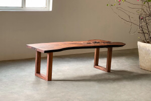 Equa Bench in Rosewood