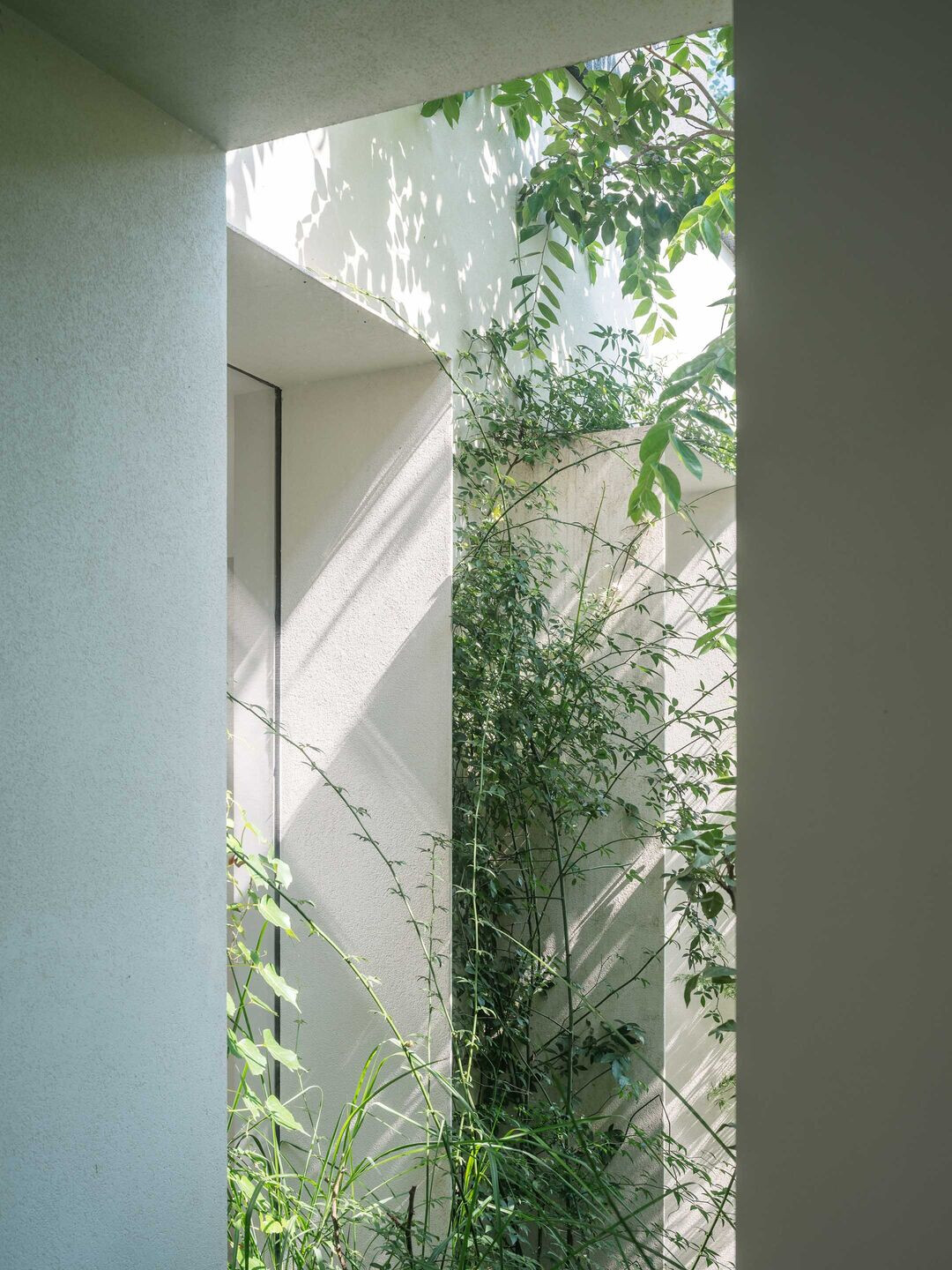 https://archello.com/story/135108/attachments/photos-videos/3 Fangfang Tian
