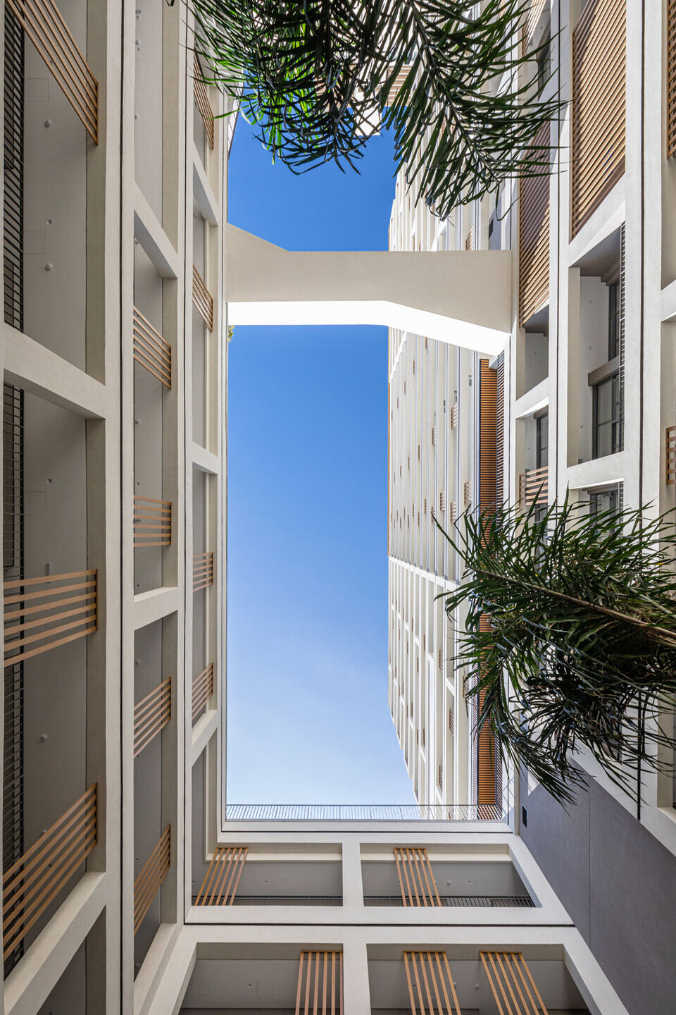 https://archello.com/story/135320/attachments/photos-videos/13 photo_credit Pedro Mascaro