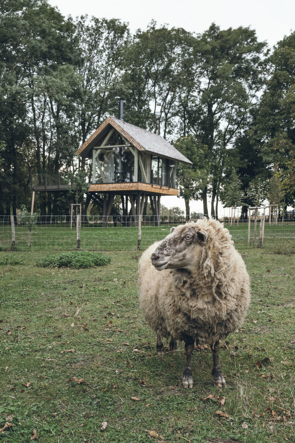 https://archello.com/story/135354/attachments/photos-videos/3 photo_credit Jakub Hrab