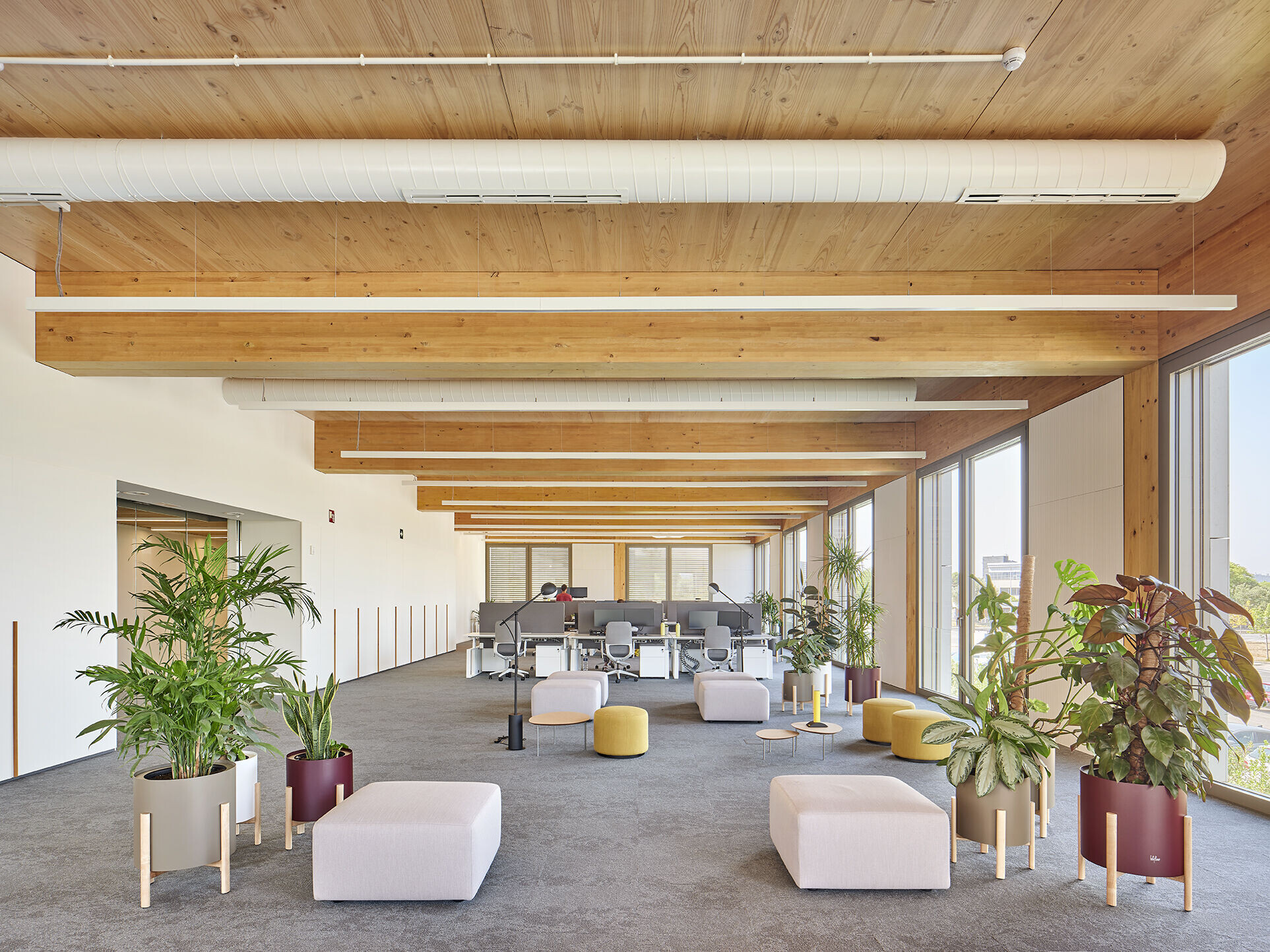 https://archello.com/story/135499/attachments/photos-videos/15 photo_credit José Hevia