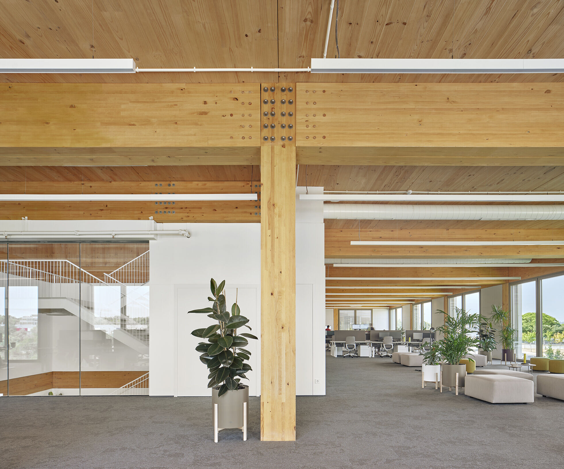 https://archello.com/story/135499/attachments/photos-videos/19 photo_credit José Hevia