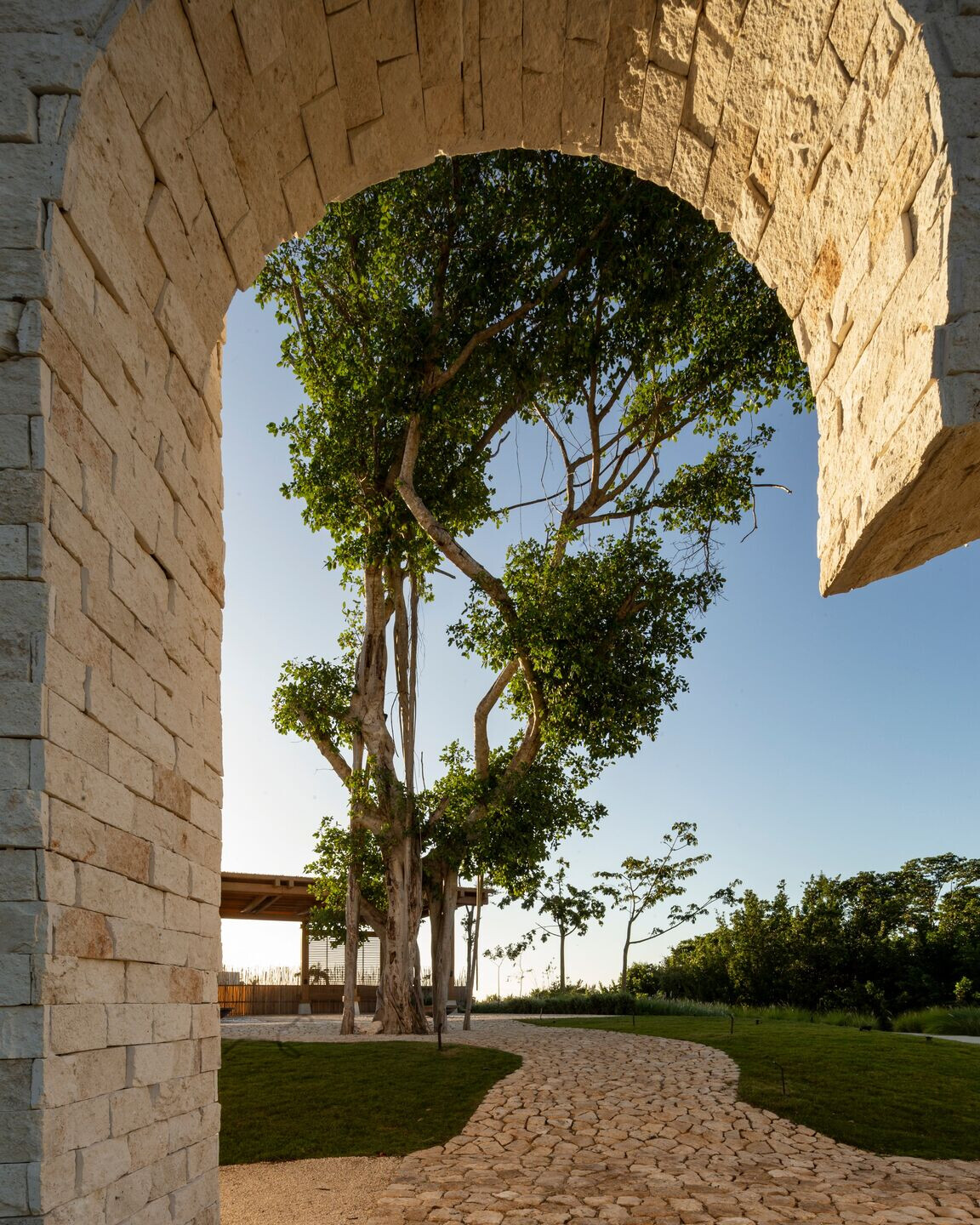 https://archello.com/story/135480/attachments/photos-videos/9 photo_credit Albers S