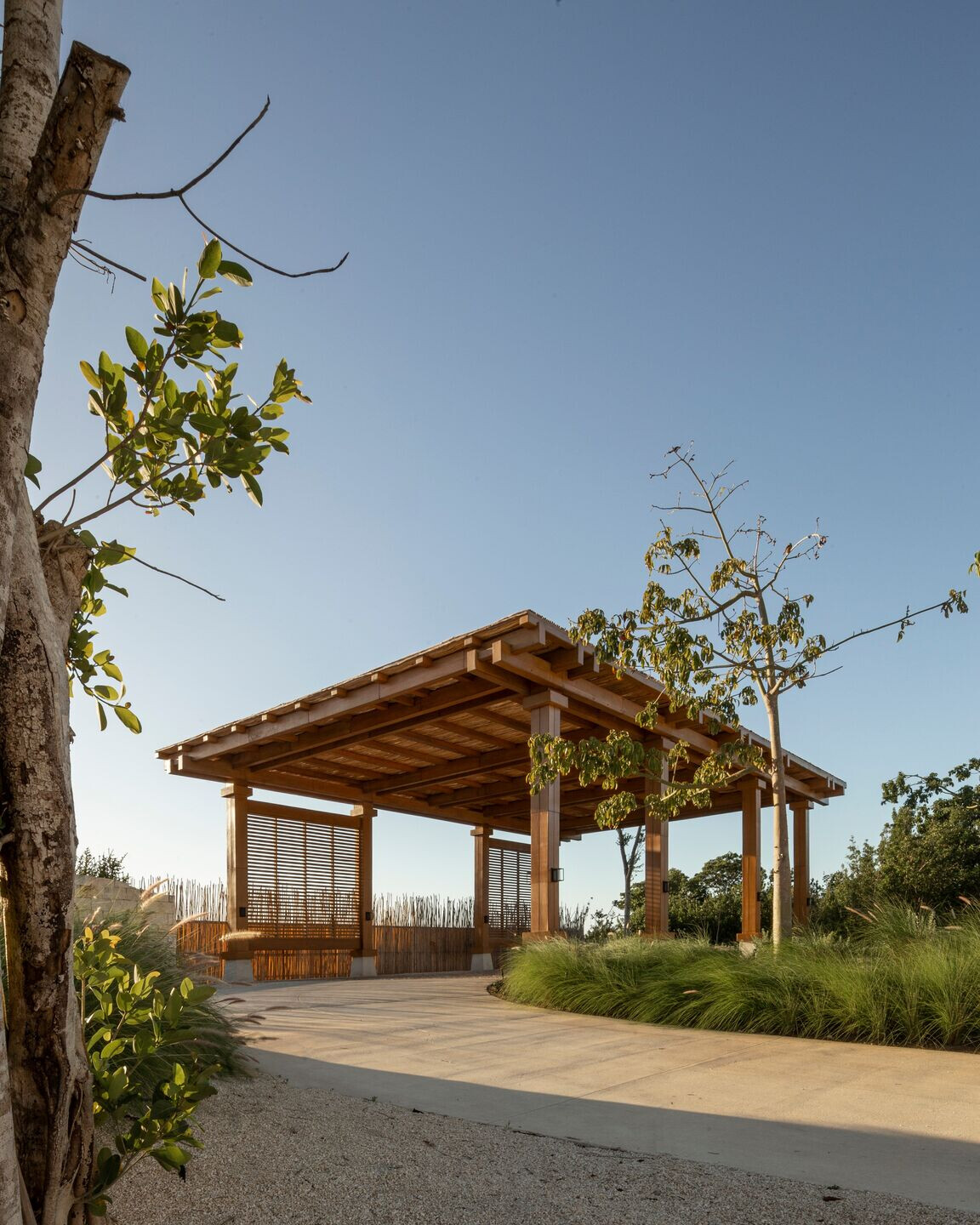 https://archello.com/story/135480/attachments/photos-videos/6 photo_credit Albers S
