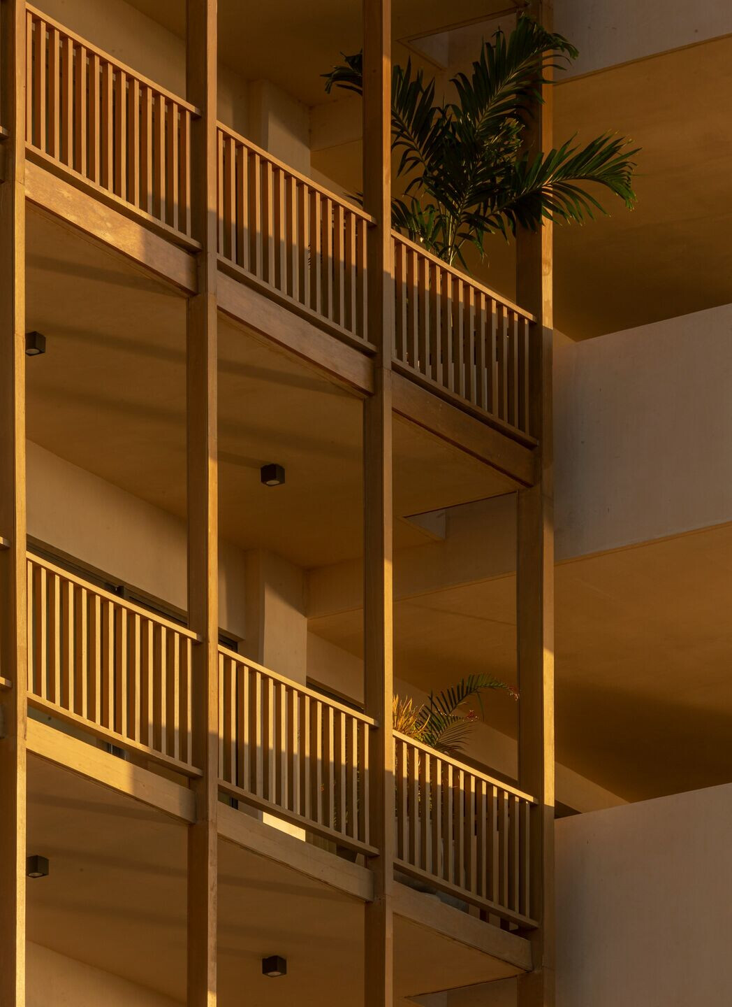 https://archello.com/story/135480/attachments/photos-videos/16 photo_credit Albers S