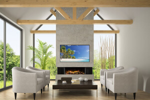 E-FX 1000 Electric Fireplace