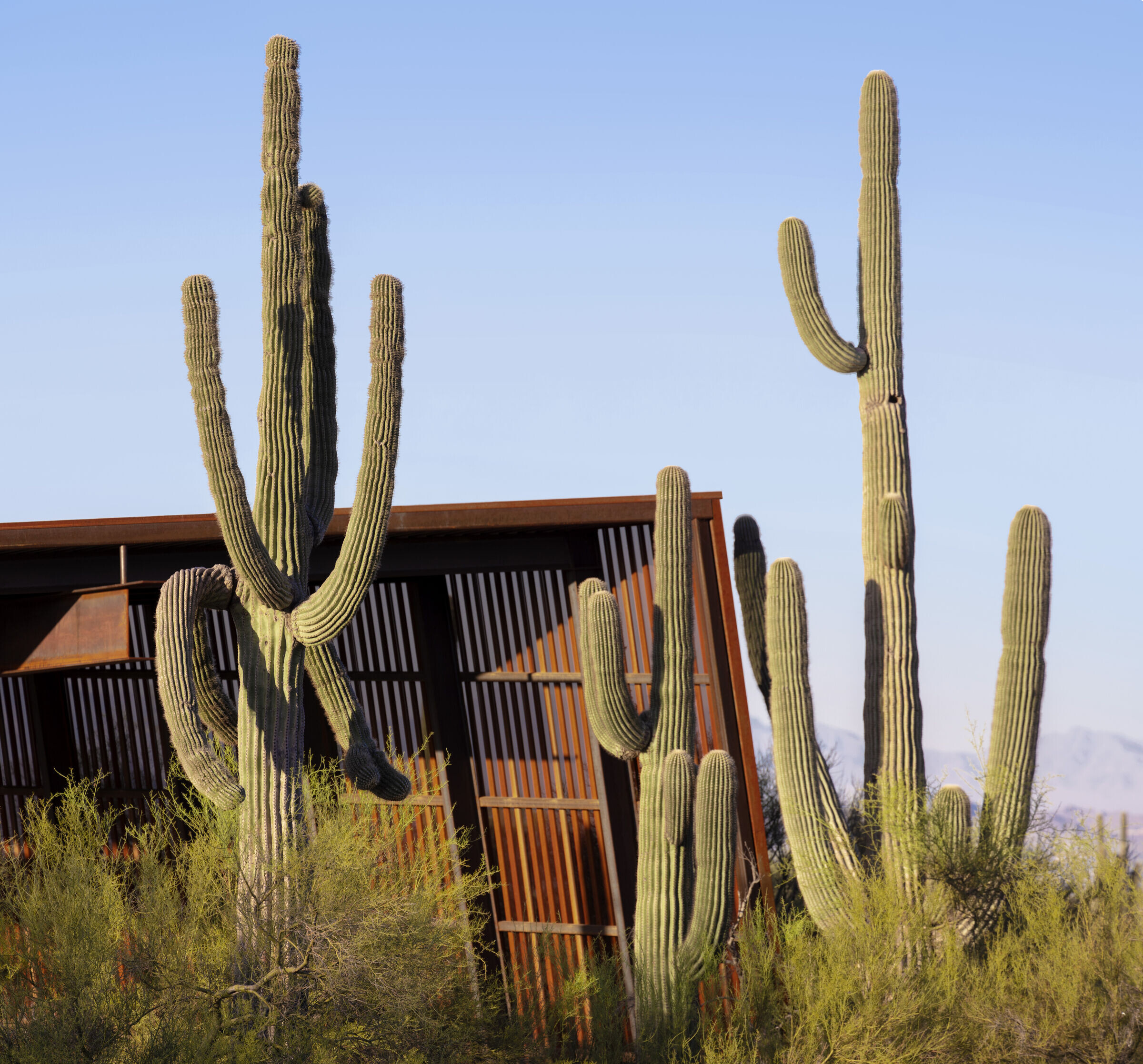 https://archello.com/story/135723/attachments/photos-videos/4 photo_credit Bill Timmerman