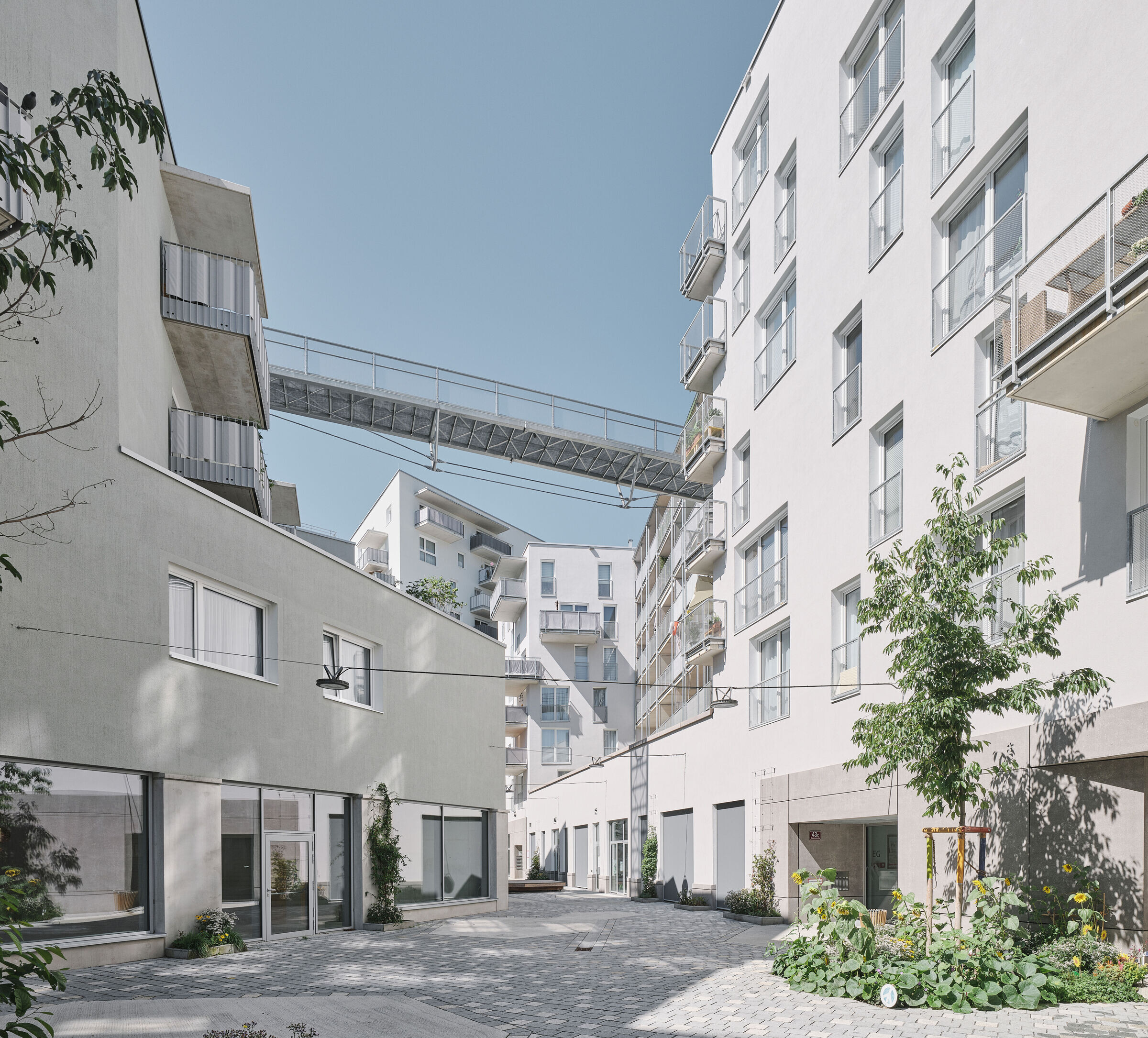 https://archello.com/story/135869/attachments/photos-videos/5 photo_credit David Schreyer