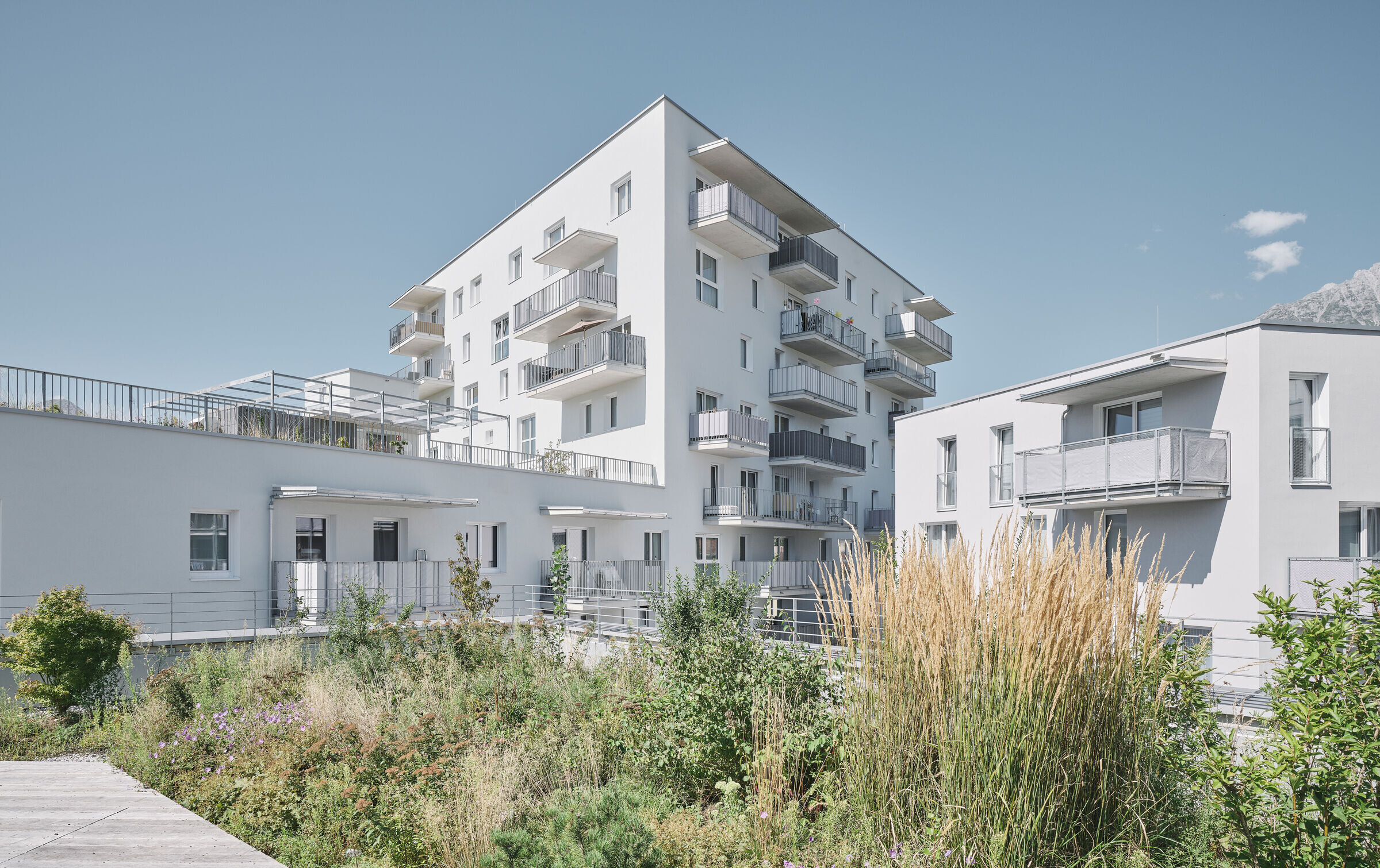 https://archello.com/story/135869/attachments/photos-videos/10 photo_credit David Schreyer