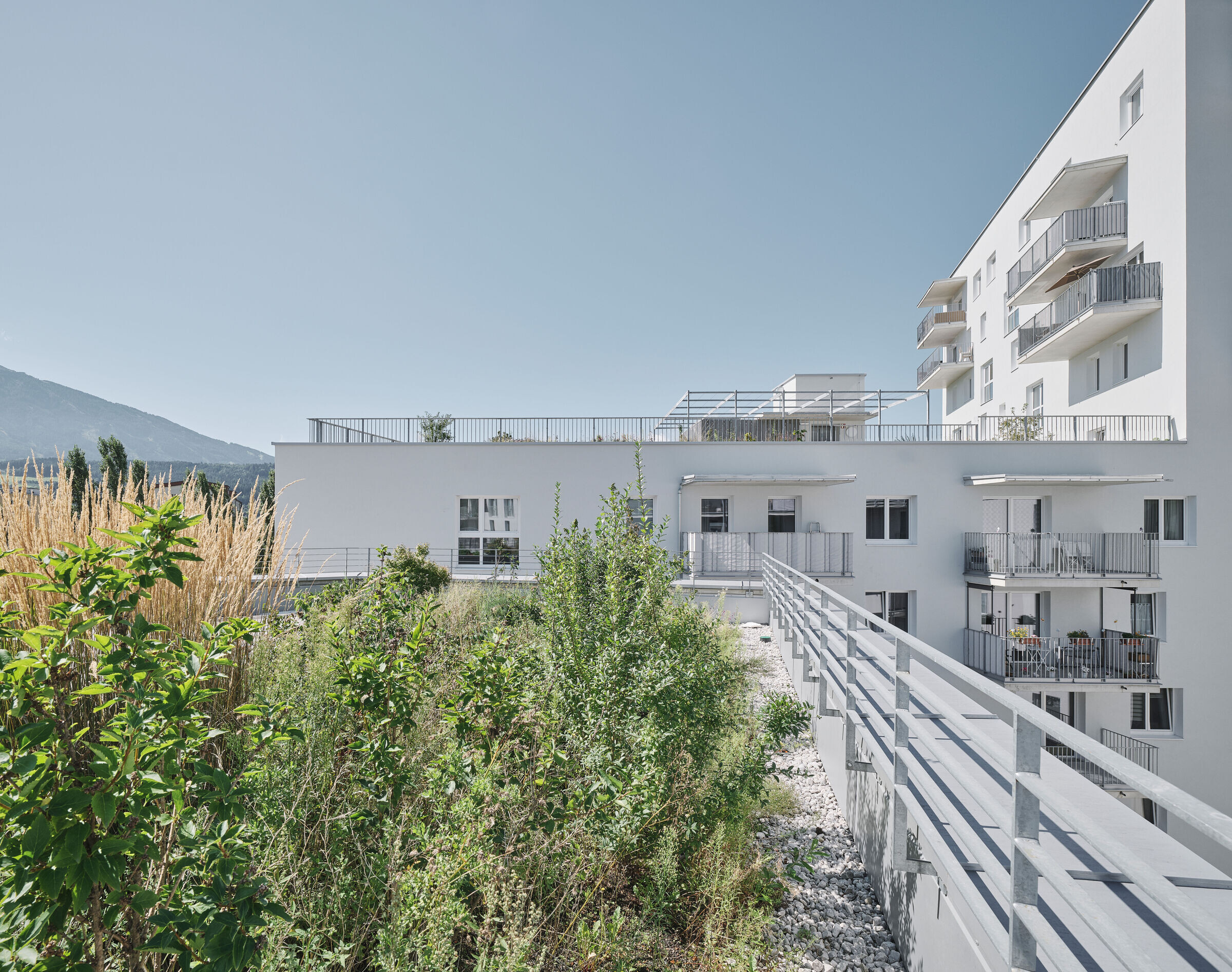 https://archello.com/story/135869/attachments/photos-videos/12 photo_credit David Schreyer