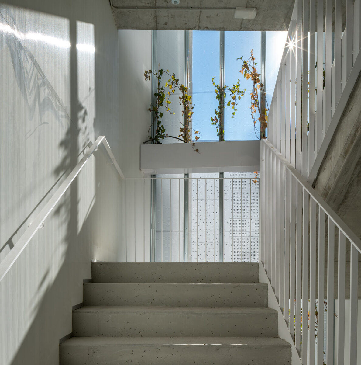 https://archello.com/story/136021/attachments/photos-videos/8