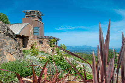 Modern Home on a Mountain Vineyard