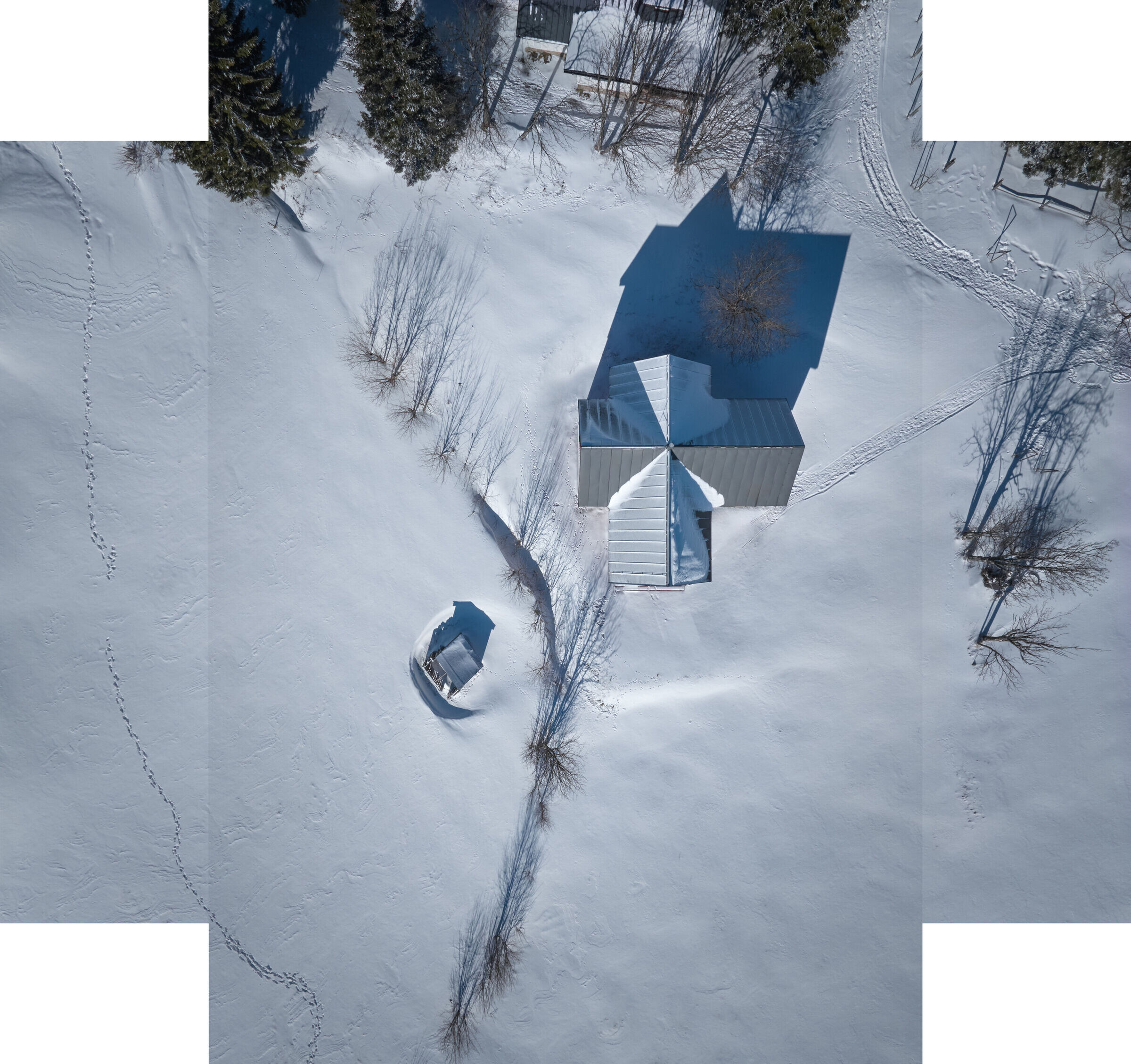 https://archello.com/story/136477/attachments/photos-videos/10 photo_credit BoysPlayNice