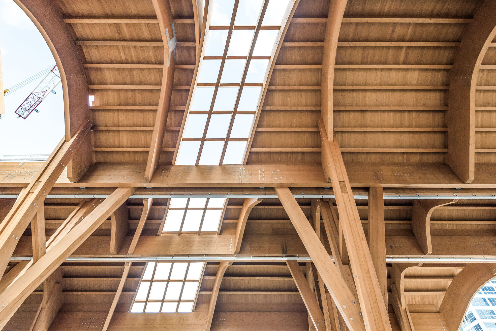 https://archello.com/story/136474/attachments/photos-videos/6 photo_credit Paolo Fassoli