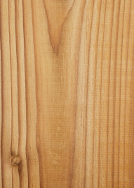 ThermoWood Pine