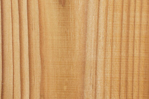 ThermoWood Pine