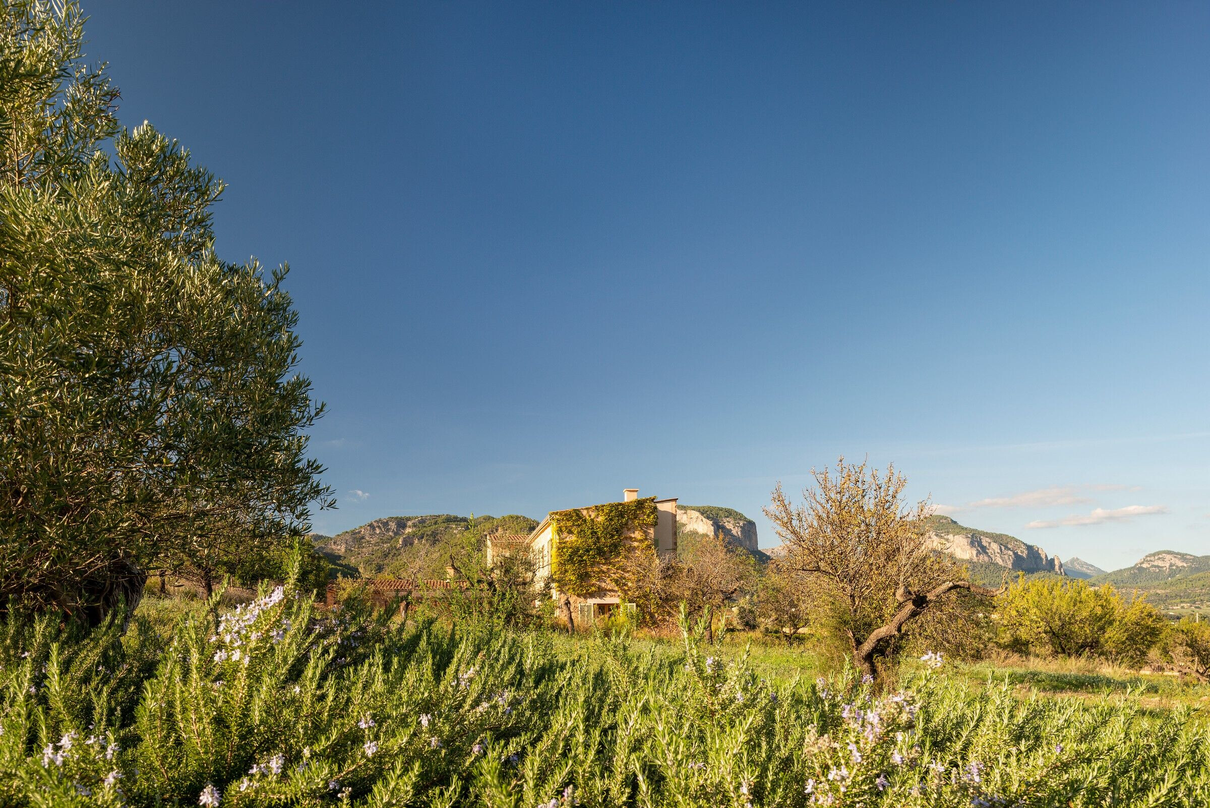 https://archello.com/story/136551/attachments/photos-videos/3 photo_credit Lluís Bort