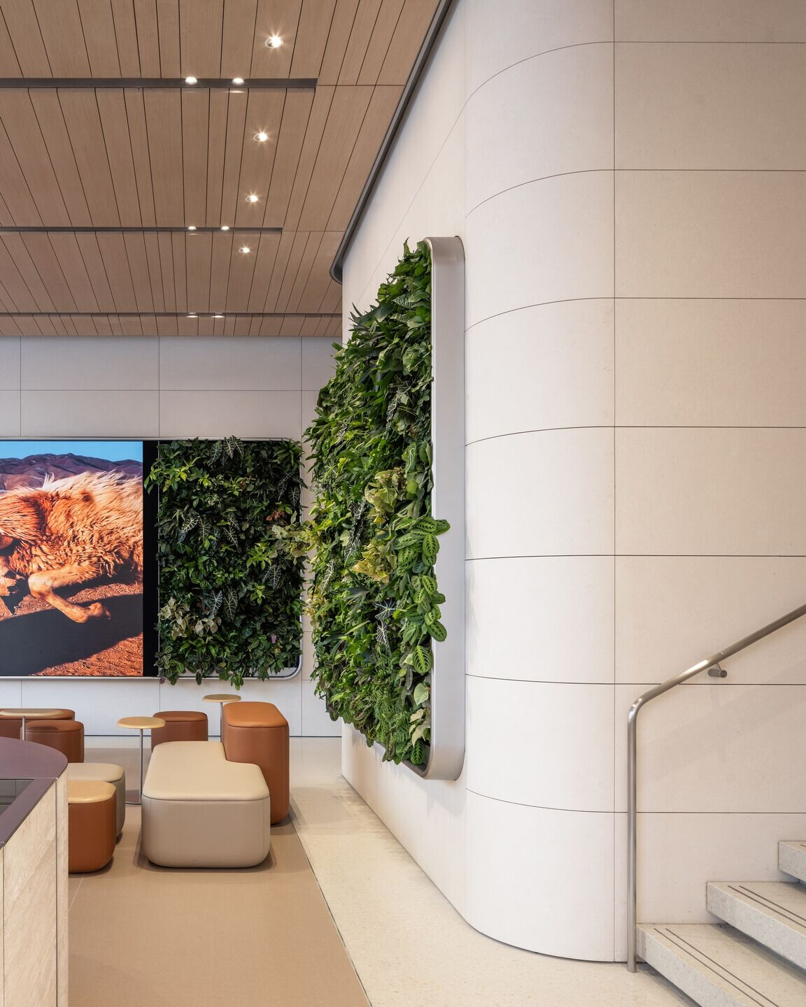 https://archello.com/story/136796/attachments/photos-videos/15 photo_credit Kris Provoost