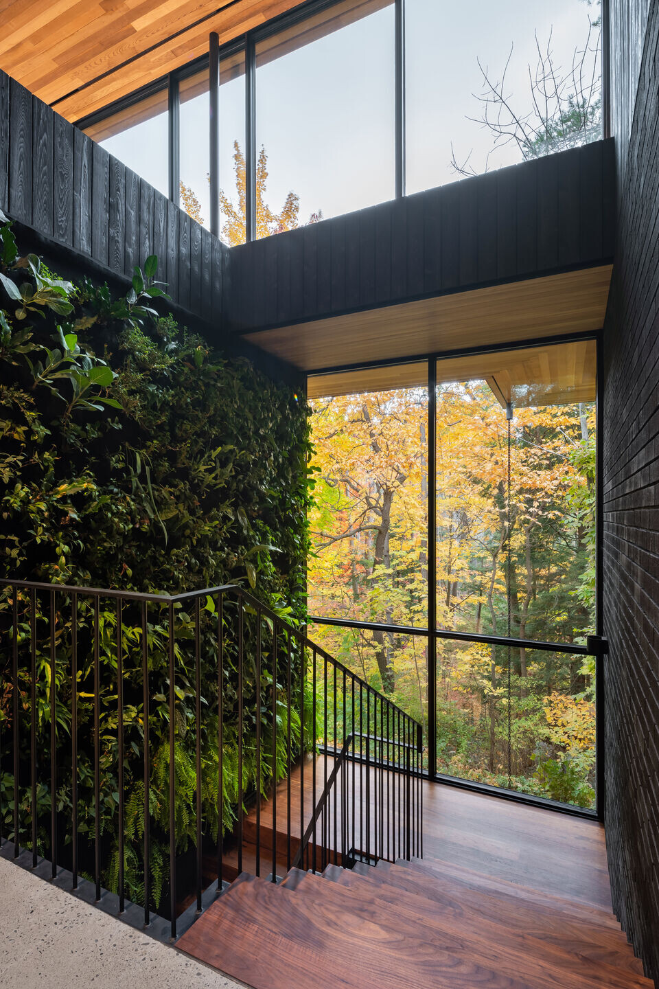 https://archello.com/story/136888/attachments/photos-videos/5 photo_credit Scott Norsworthy