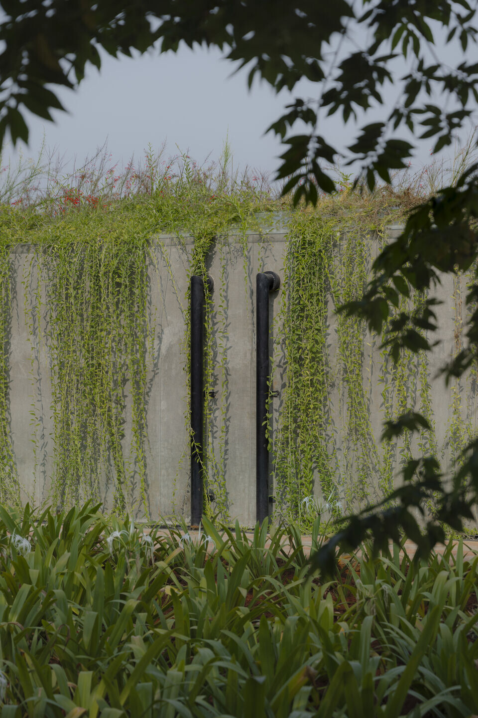 https://archello.com/story/136962/attachments/photos-videos/29 photo_credit Vivek Eadara