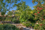 Rooftop garden