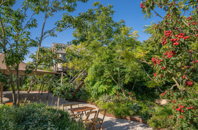 Rooftop garden