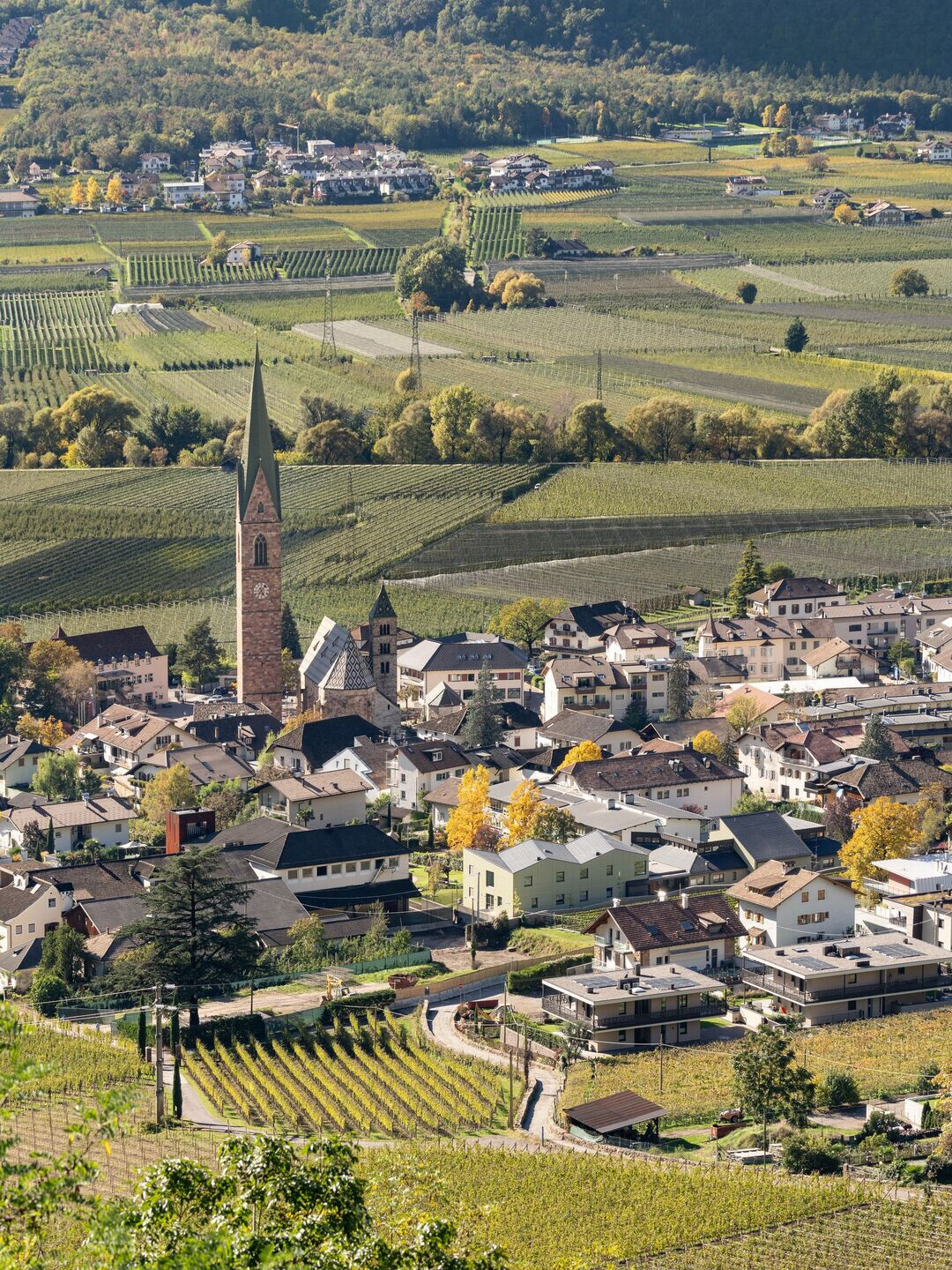 https://archello.com/story/137400/attachments/photos-videos/3 photo_credit Marco Cappelletti