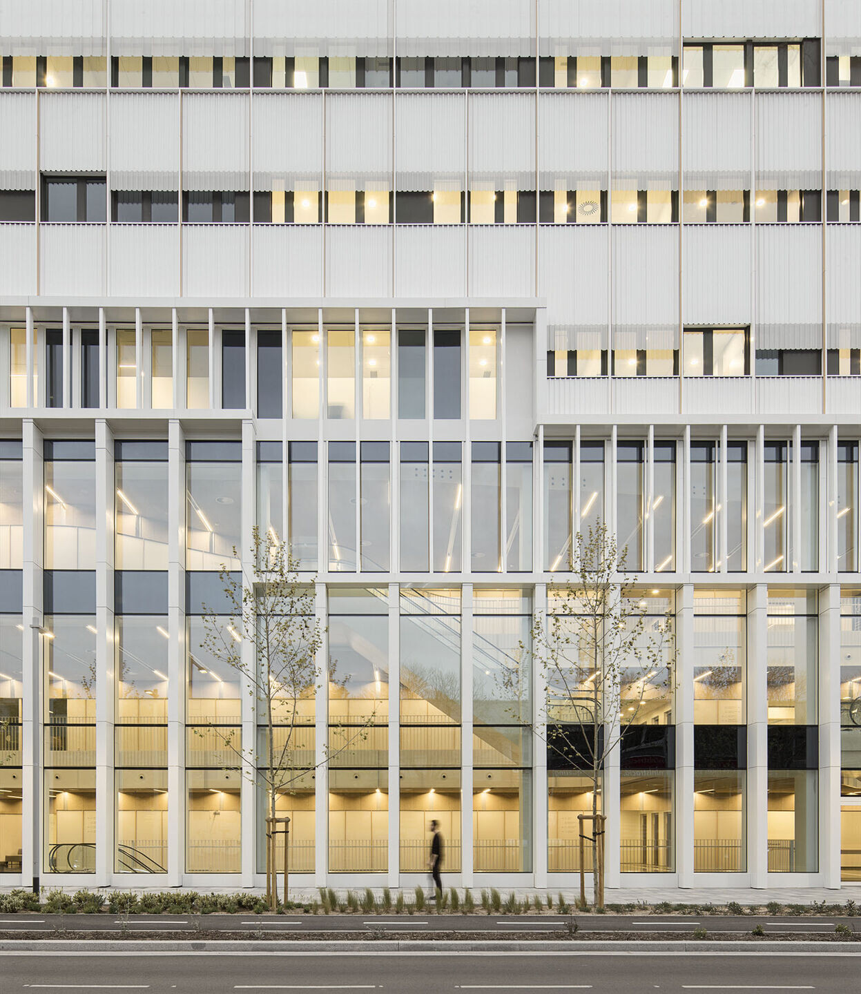 https://archello.com/story/137488/attachments/photos-videos/7 photo_credit © DEL RIO BANI