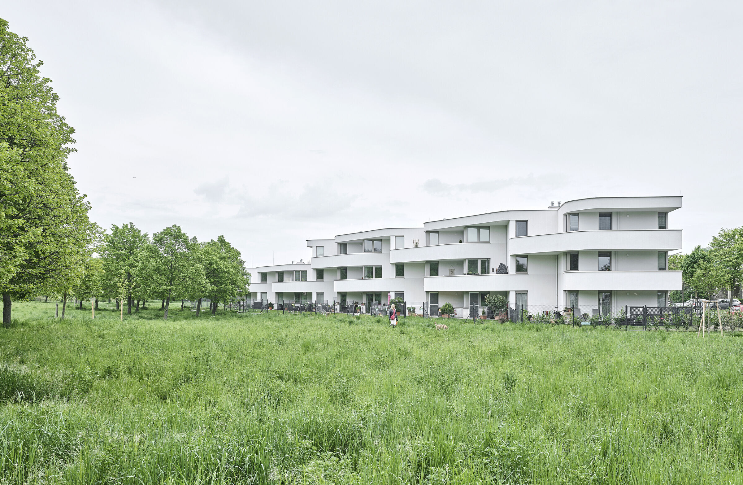 https://archello.com/story/124627/attachments/photos-videos/8 photo_credit ©David Schreyer