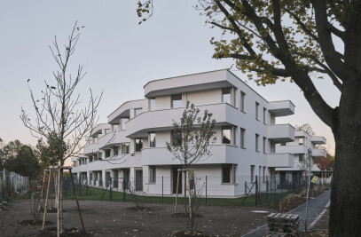 ASG | Marchfeldterrasse Social Housing