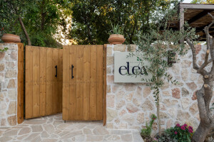 OLIVE DIARIES | MAISON ELEA