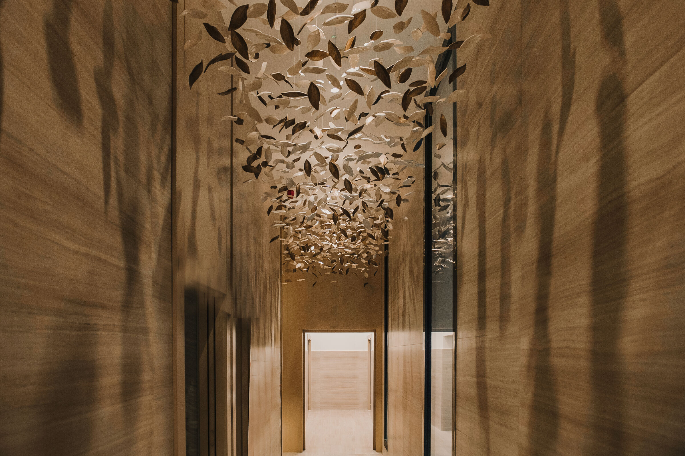 https://archello.com/story/137837/attachments/photos-videos/4 photo_credit José Salto