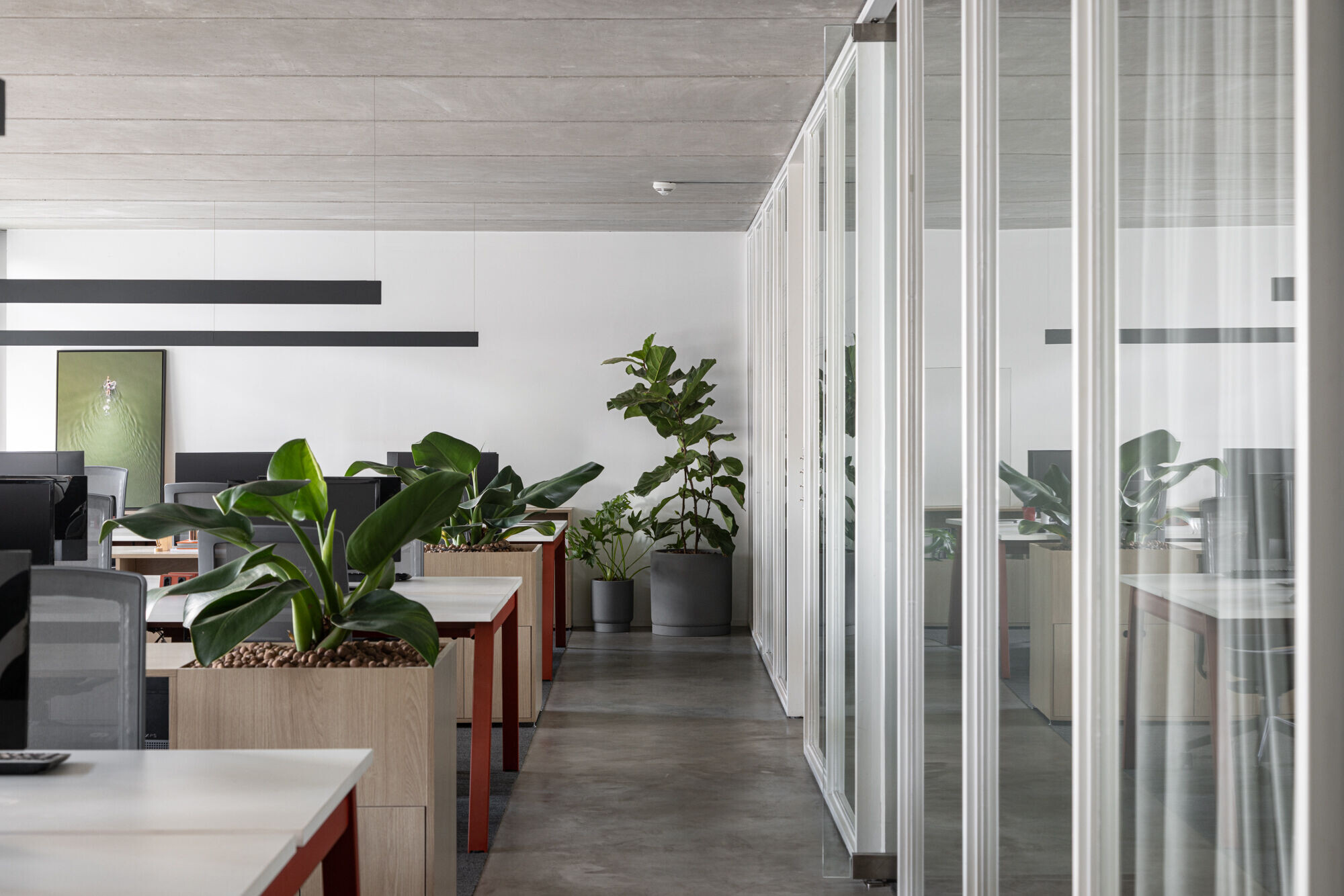 https://archello.com/story/137933/attachments/photos-videos/16 photo_credit Joana França