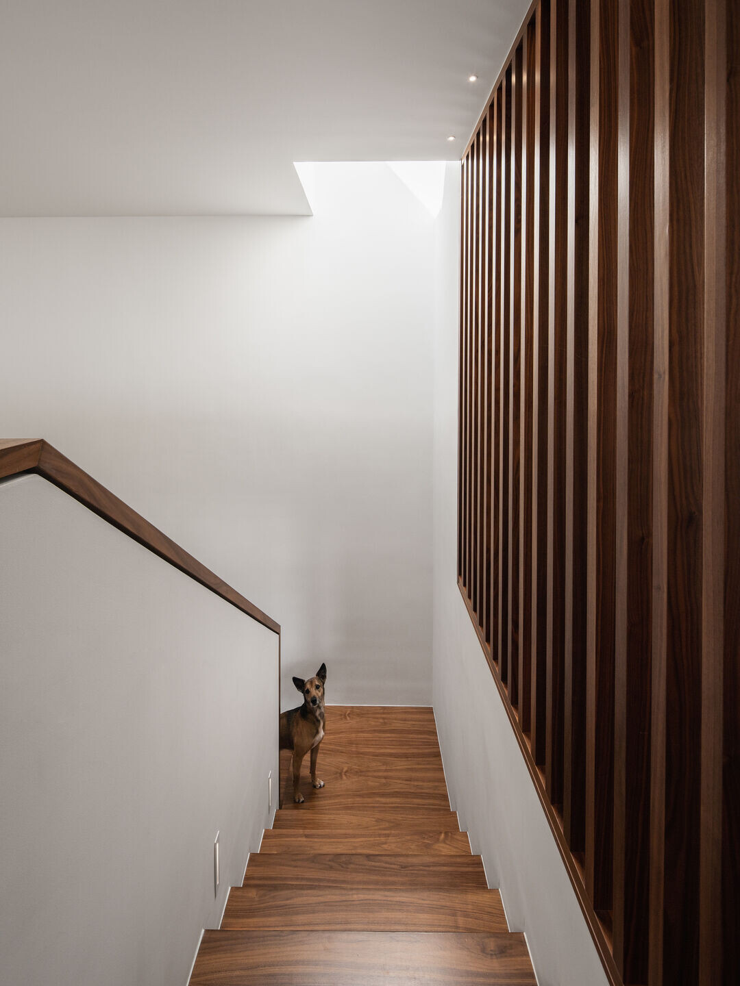 https://archello.com/story/138023/attachments/photos-videos/37 photo_credit Garcês