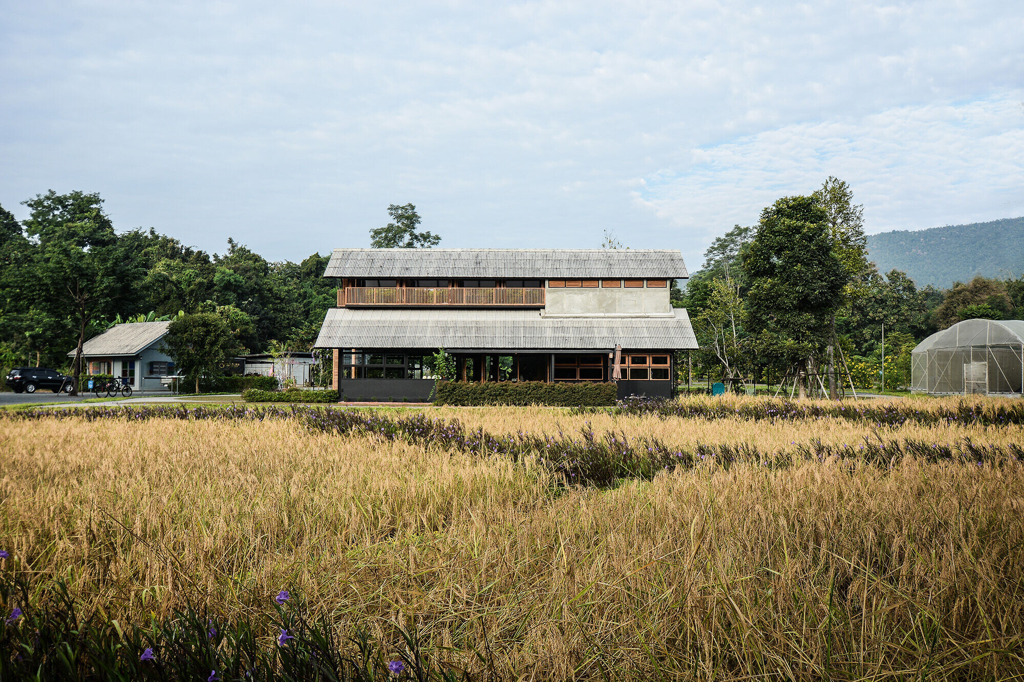 https://archello.com/story/138078/attachments/photos-videos/26 photo_credit Pran maneerat