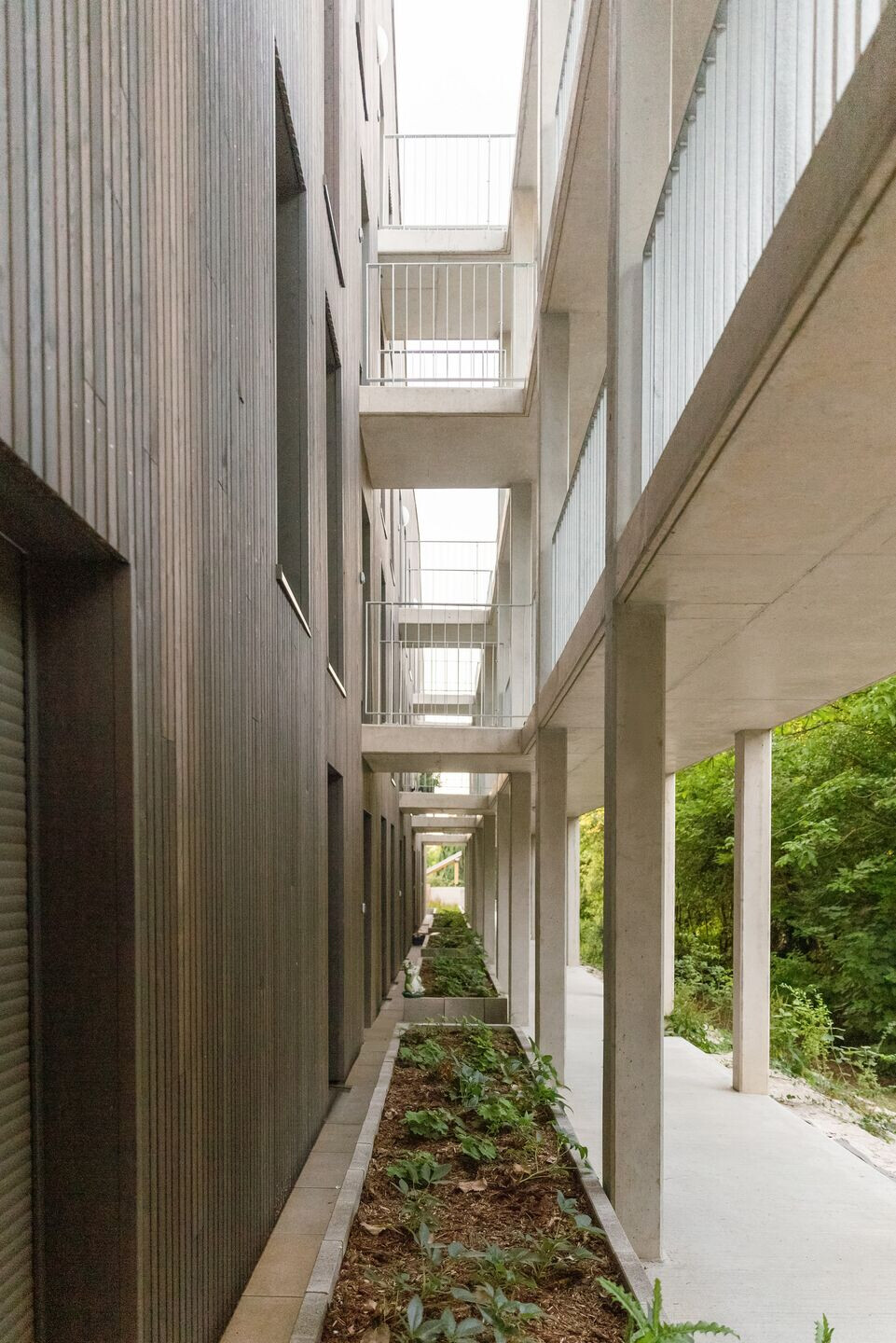 https://archello.com/fr/story/134992/attachments/photos-videos/5 photo_credit Florry Simons