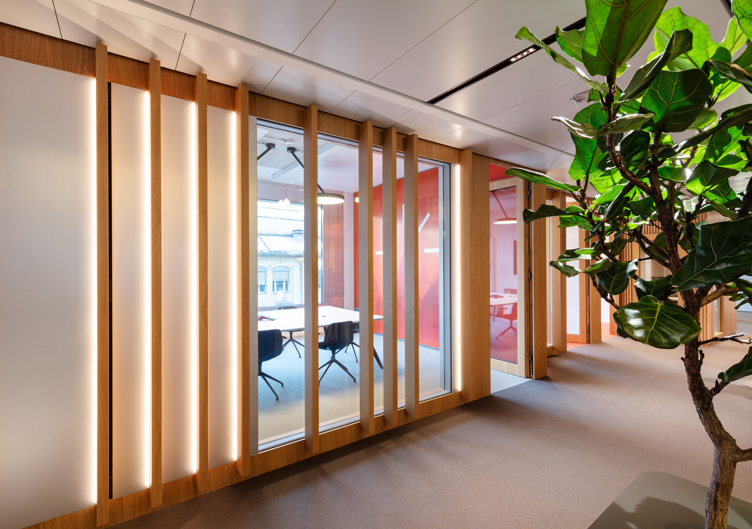 https://archello.com/story/119123/attachments/photos-videos/8 photo_credit Jonas Kuhn