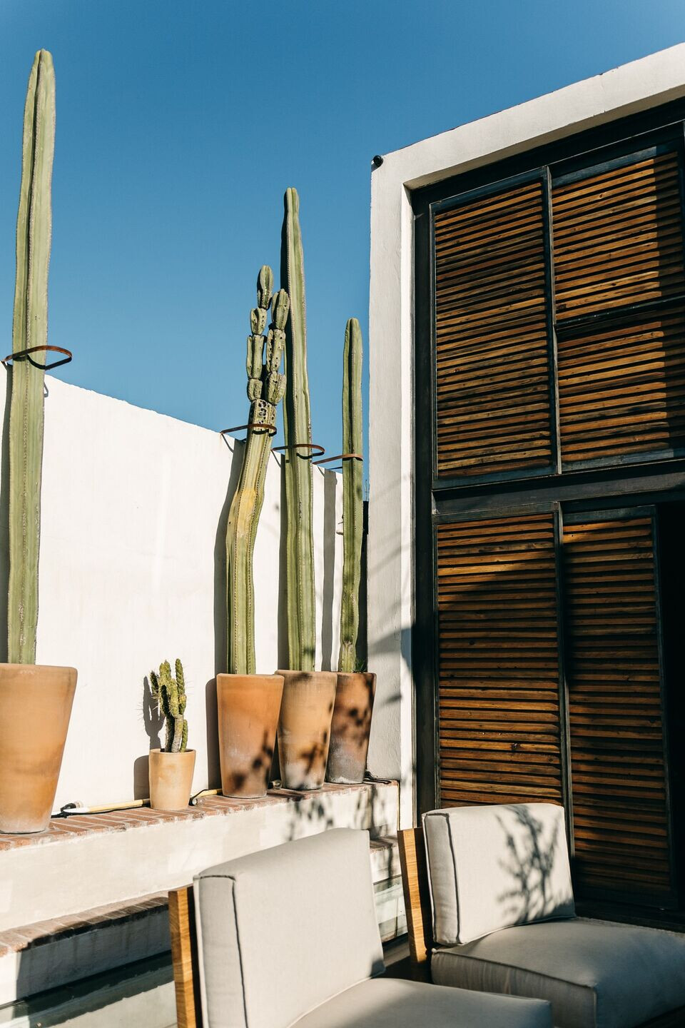 https://archello.com/story/138351/attachments/photos-videos/6 photo_credit Lizet Ortiz