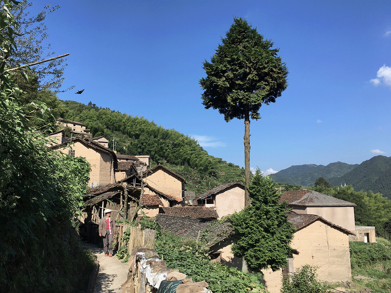 https://archello.com/story/138484/attachments/photos-videos/33 photo_credit line+, Xi Chen + Chris King