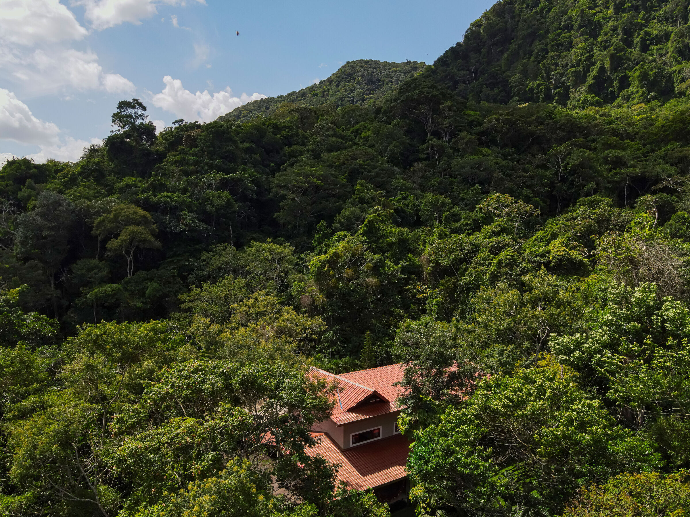 https://archello.com/story/138612/attachments/photos-videos/5 photo_credit Felipe Petrovsky