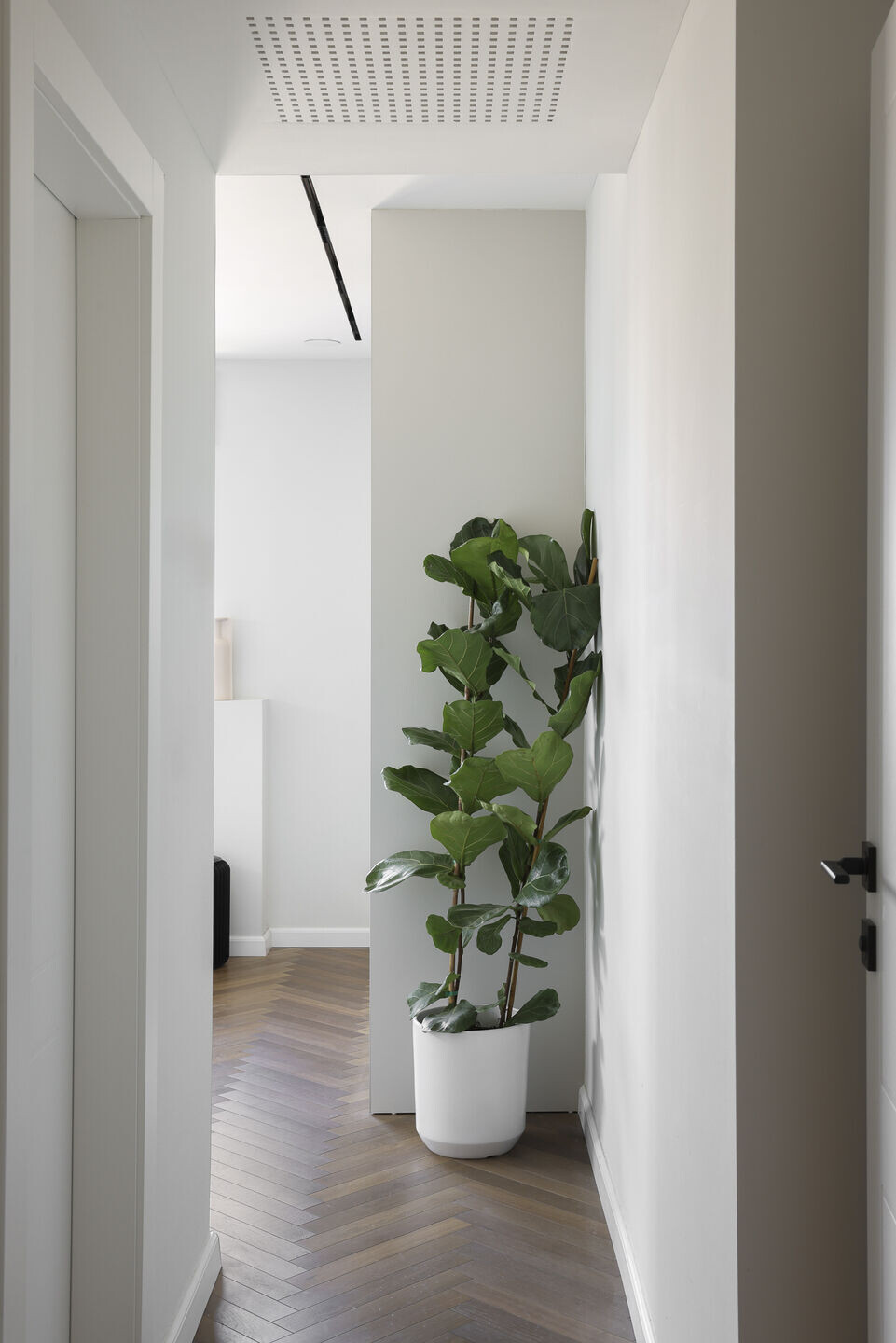 https://archello.com/story/138685/attachments/photos-videos/14 photo_credit Eran Turgeman – Photography Studio