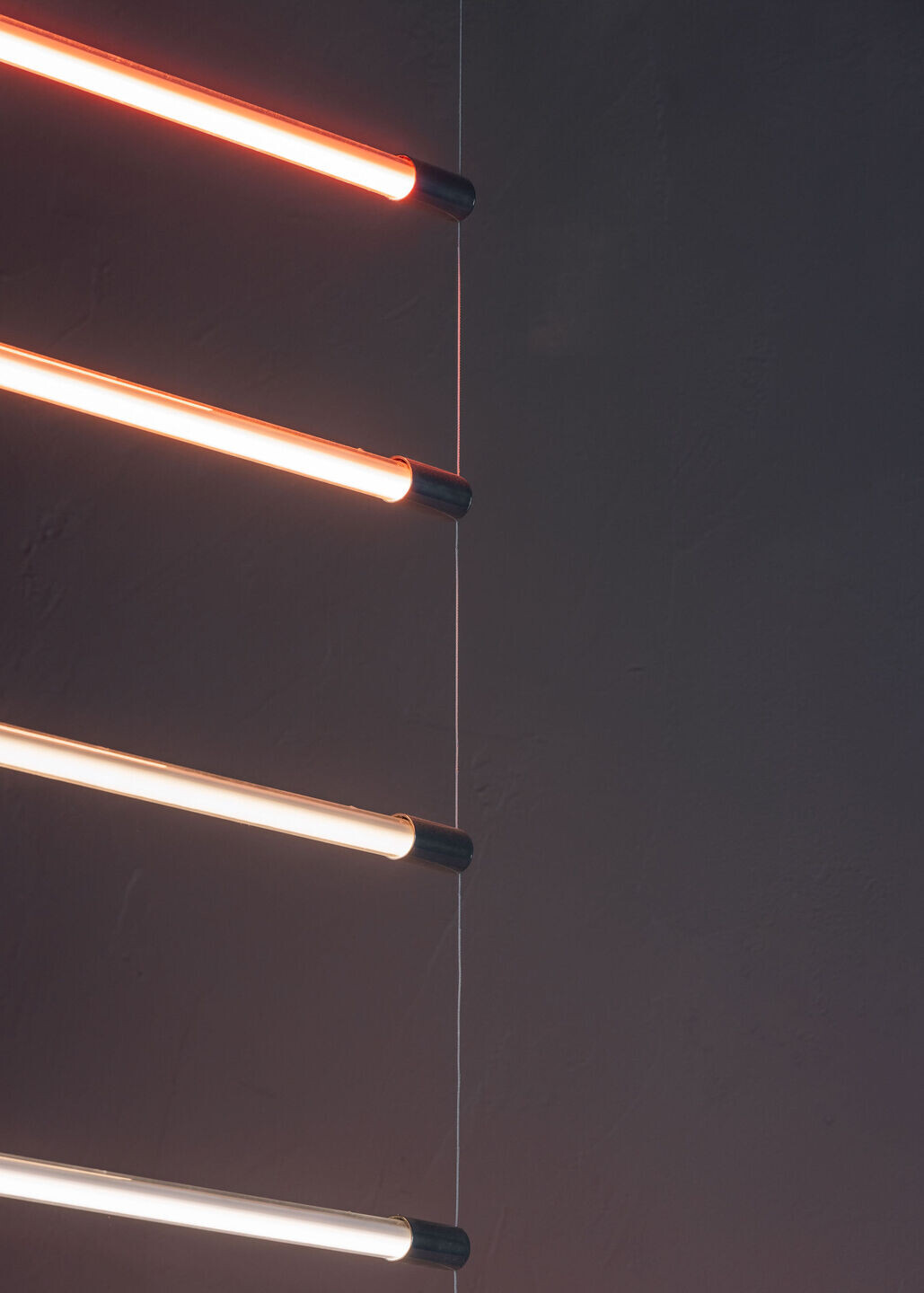 https://archello.com/story/138759/attachments/photos-videos/20 photo_credit Francisco Nogueira