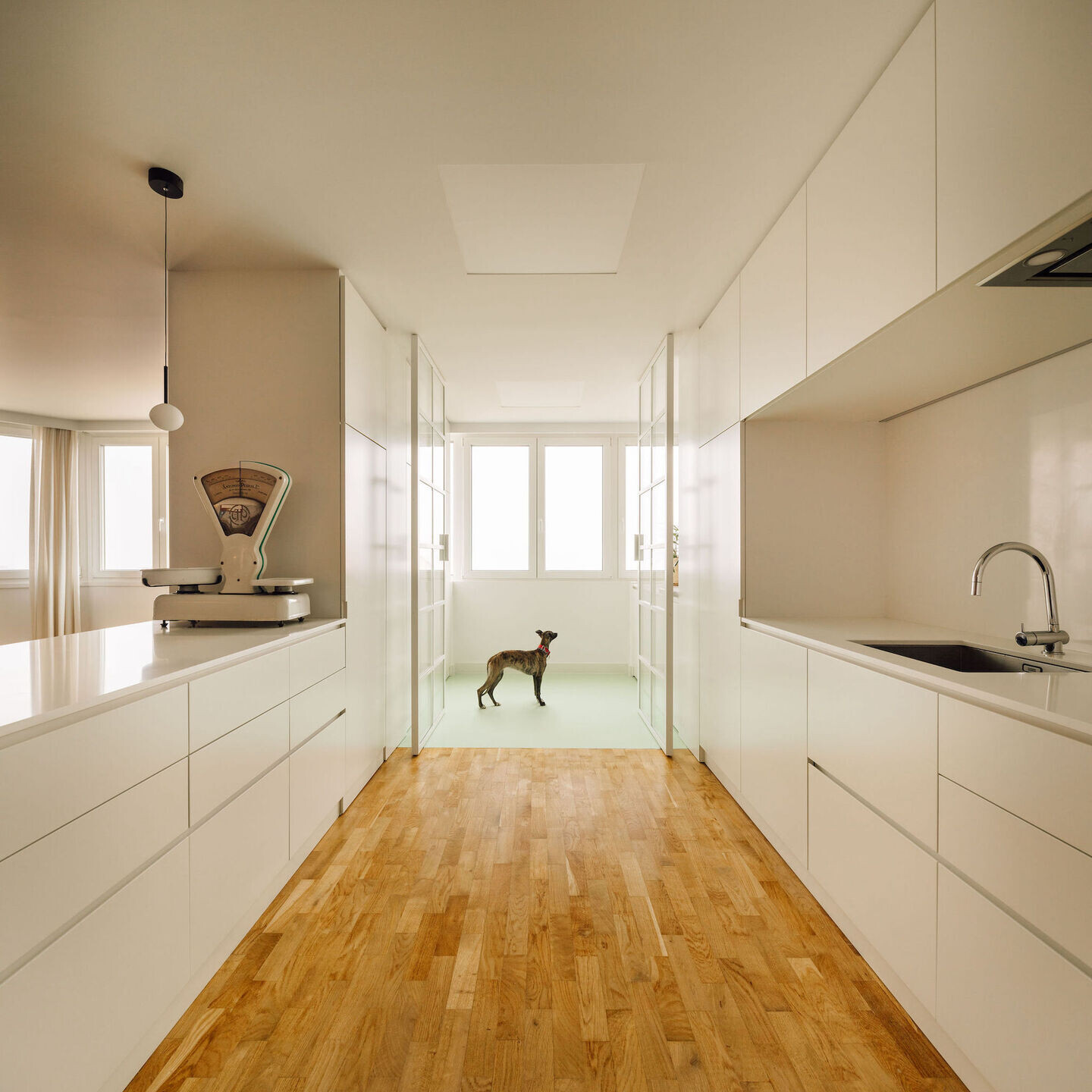 https://archello.com/story/138767/attachments/photos-videos/10 photo_credit Francisco Nogueira