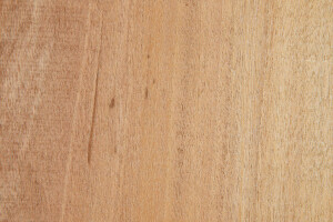 Fire retardant ThermoWood® Poplar