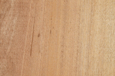 Fire retardant ThermoWood® Poplar