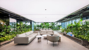 Barrisol Light brings the outdoors inside at Mr Green’s Office